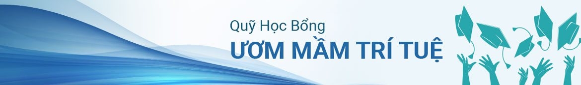 Ươm Mầm Trí Tuệ
