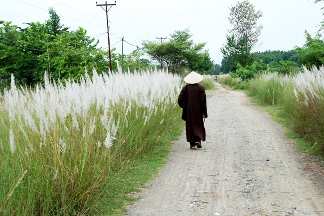 Tri ân Sư phụ - Trọn đời vì Phật pháp trường tồn