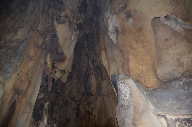 Cúng dường Tam bảo chùa Cổ Am, Nghệ An